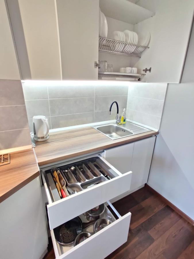 Apartment Micromegas Chernivtsi